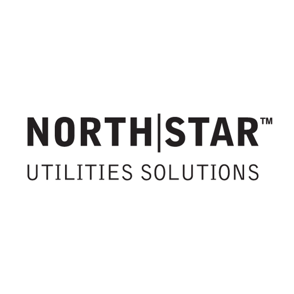 NorthStar logo